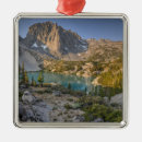 Search for sierra christmas tree decorations National park