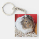 Search for guinea key rings Animal