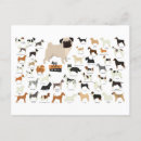 Search for small dog breed postcards Animal