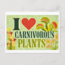 Search for carnivorous plants postcards Illustration