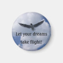 Search for bird flight magnets Seagull
