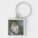 Search for owl in tree key rings Branch