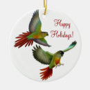 Search for conure christmas tree decorations Green cheeked conure