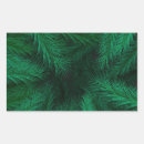 Search for fir stickers Spruce