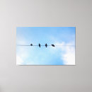 Search for four animals canvas prints Birds