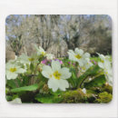 Search for perennial electronics Flower