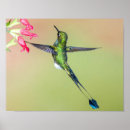 Search for ecuador photography Nature