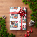 Search for pitbull terrier wrapping paper Staffordshire