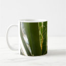 Search for yucca mugs Nature