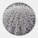 Search for sonoran magnets Cactus