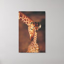 Search for adults canvas prints Animal