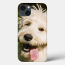Search for panting electronics Adorable