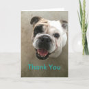 Search for pet sitter cards Appreciation