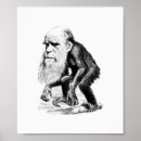 Search for charles darwin posters Theory of evolution
