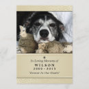 Search for creme invitations Tan