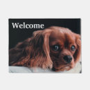 Search for spaniel doormats Animal