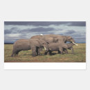 Search for elephant family stickers Calf