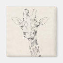 Search for sketched magnets Animal