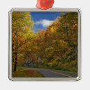 Search for blue ridge mountains christmas tree decorations North carolina