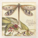 Search for dragonfly coasters Cream