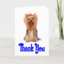 Search for yorkshire terrier puppies cards Yorkie