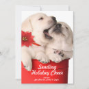 Search for dog bite cards Baby
