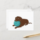 Search for chew postcards Cute