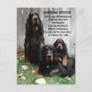 Search for domesticated vertical postcards Pet