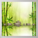 Search for shui posters Stones