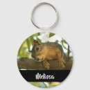 Search for squirrel key rings Cute