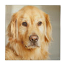 Search for golden retriever gifts Portrait