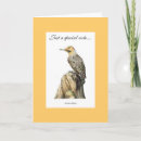 Search for northern Woodpecker
