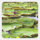 Search for amazon square stickers Travel