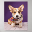 Search for corgi posters Queen elizabeth's