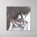 Search for talons art Nature