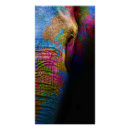 Search for colorful elephant posters Modern