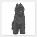 Search for flandre stickers Bouvier des flandres