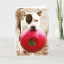 Search for pitbull cards Funny