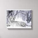 Search for white tiger art Animal
