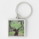 Search for waist key rings Animal