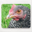 Search for poultry mouse mats Hen