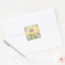 Search for floral photograph stickers Nature