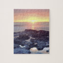 Search for san diego puzzles Usa