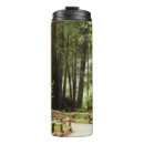 Search for path travel mugs Forest