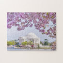 Search for washington dc puzzles Colour image