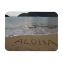 Search for aloha magnets Kauai