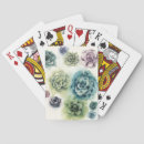 Search for succulent playing cards Plants