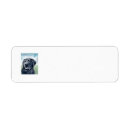Search for black labrador retriever return address labels Canine