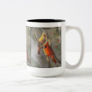 Search for male and female cardinal mugs Wildlife