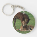 Search for morgan key rings Horse